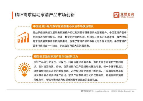 2024年中國家清產(chǎn)品消費(fèi)趨勢洞察與知識(shí)產(chǎn)權(quán)保護(hù)